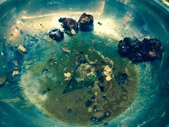 -拿渡麻辣香锅(和谐广场店)