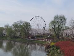 -自然谷恐龙园