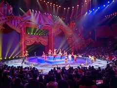 -珠海横琴长隆《卡卡虎奇遇记》