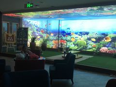 -海洋之星休闲汗蒸浴场