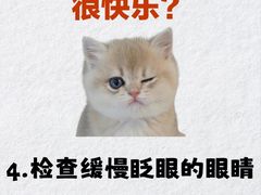 -荔康动物医院(康王北路店)