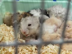 -万达广场(南京江宁店)