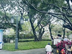 -顺峰山公园