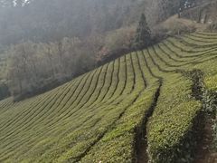 -敬亭山风景名胜区