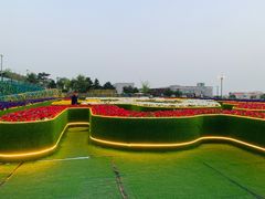 -莫子山公园