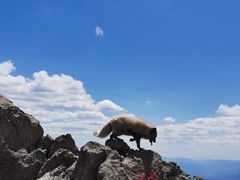 -北京灵山风景区
