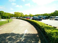 停车场-滨海高尔夫俱乐部