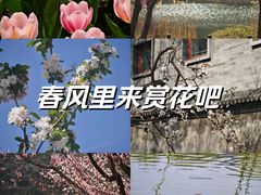 -国家植物园