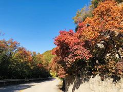 -北京十三陵国家森林公园蟒山景区