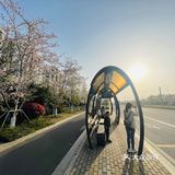 又是一年樱花季🌸