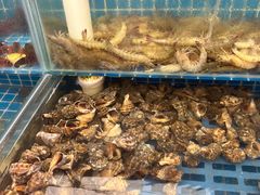 -港畔赶海蒸汽海鲜烧烤自助(仙螺岛店)