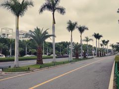 -黄金海岸环岛路