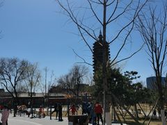 -西海子公园