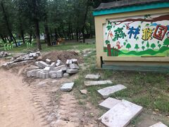-林栖谷森林康养度假区