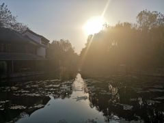 -台儿庄古城