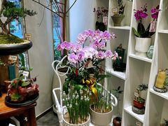 -溪岸路花鸟市场