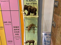 -房山世界地质公园博物馆