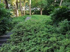 -徐家汇源景区-衡山公园