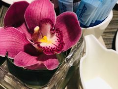 -新加坡文华东方酒店