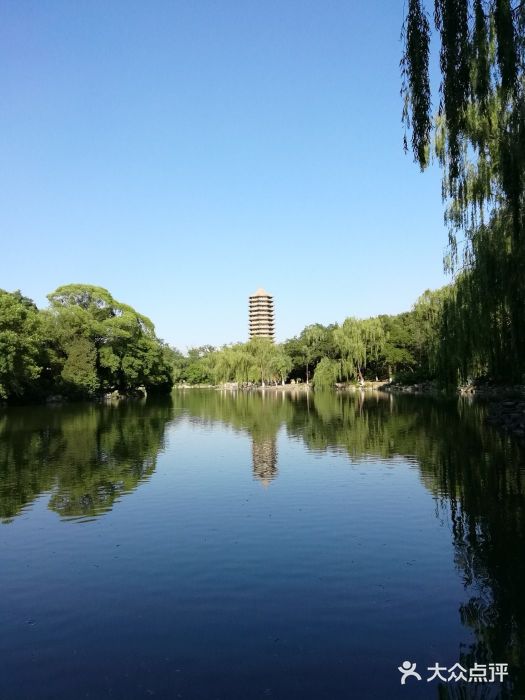 博雅塔景点图片