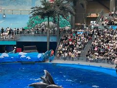 -海合安成都极地海洋公园