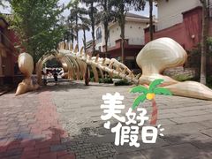 -重庆海昌加勒比海水世界