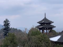 -杭州半山国家森林公园