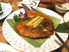 -紫滇源云南生态菜(丹凤街店)