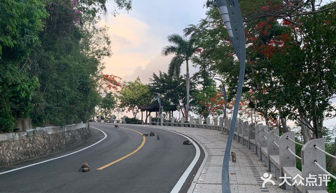 夏日出行—鹿回头景区攻略🚥