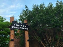 -清迈夜间动物园