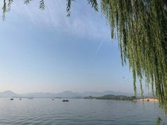 -西湖外事游船(花港观鱼码头)