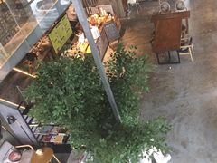 -了不起的考拉咖啡店(高新店)