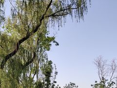 -迎泽公园