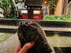 -明谷行馆·温泉