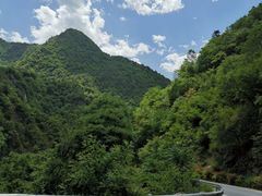 -黑河国家森林公园