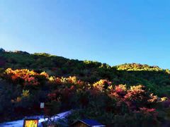 -龙道沟景区