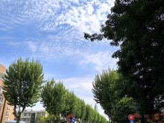 -浙江大学(玉泉校区)