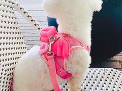 -Peet's Coffee皮爷咖啡(大学路店)