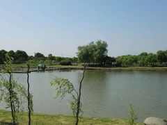 -上膳源有机农场