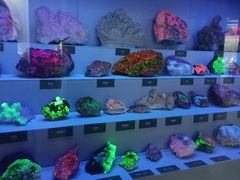 -湖南省地质博物馆