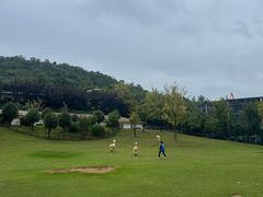 -南京金牛湖风景区