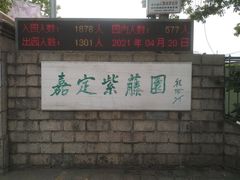 -嘉定紫藤园