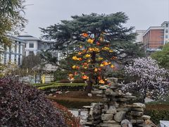 -汤山一号温泉度假区