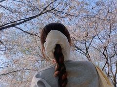 -西北湖绿化广场