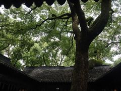 -上海醉白池公园