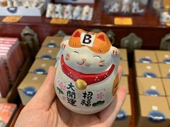 -猫咪博物馆(顶澳仔猫街店)