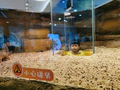 -Mr·Kuma酷么先生雪之乐园