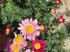 -明月山庄私房菜(环海东路店)