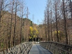 -福道