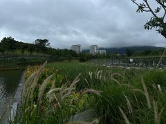 -坪山湿地公园